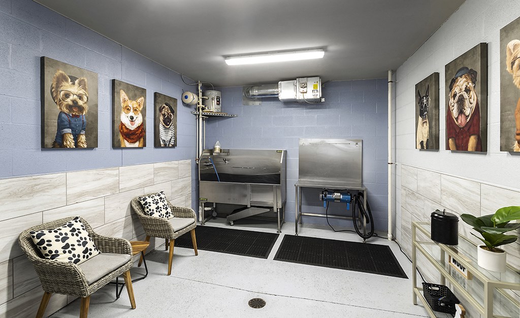 a veterinary exam room with three dogs on the wall and two chairs and a sink