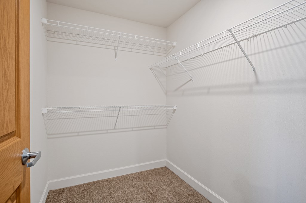 A white closet with a carpeted floor and a wooden door.