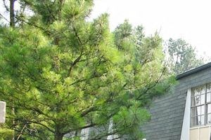 Vesta Gardens Apartments 4590 Washington Rd Atlanta Ga Rentcafe