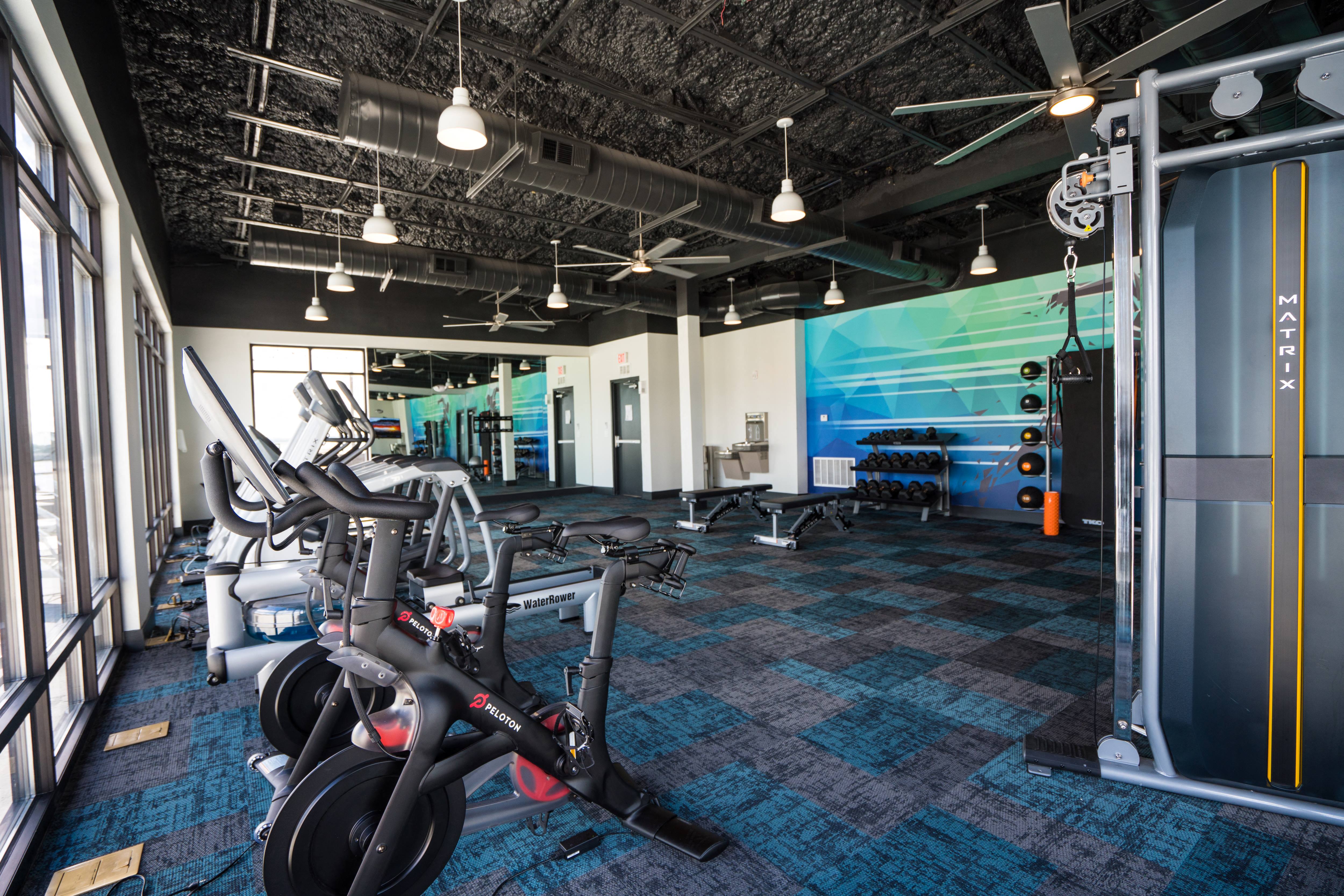 a gym with exercise machines and a large mural on the wall
