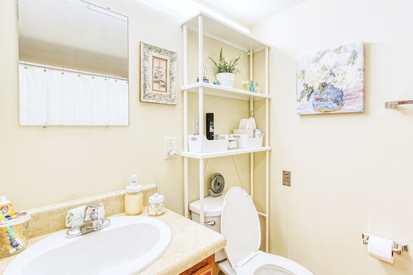 Riverside Park Apartments, 750 Oak Street, Jacksonville, FL RentCafe