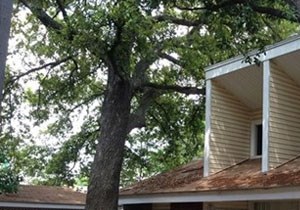 Pine Grove Apartments (Keeper)