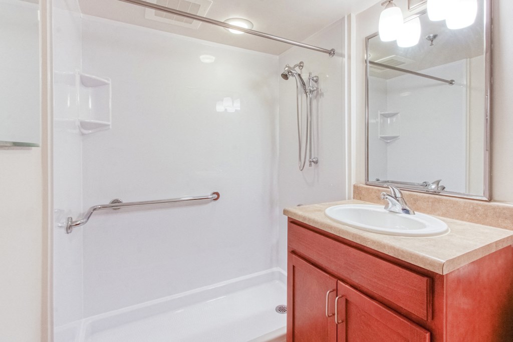 bathroom with grip bars and low-entry shower