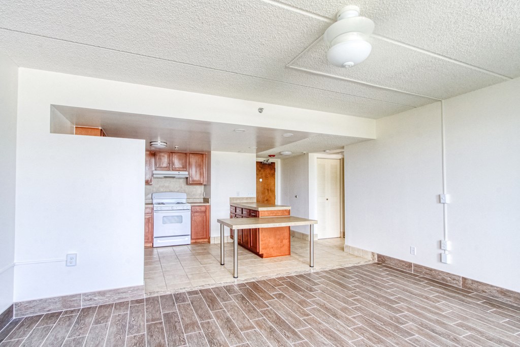open kitchen and large living room with ceiling fan