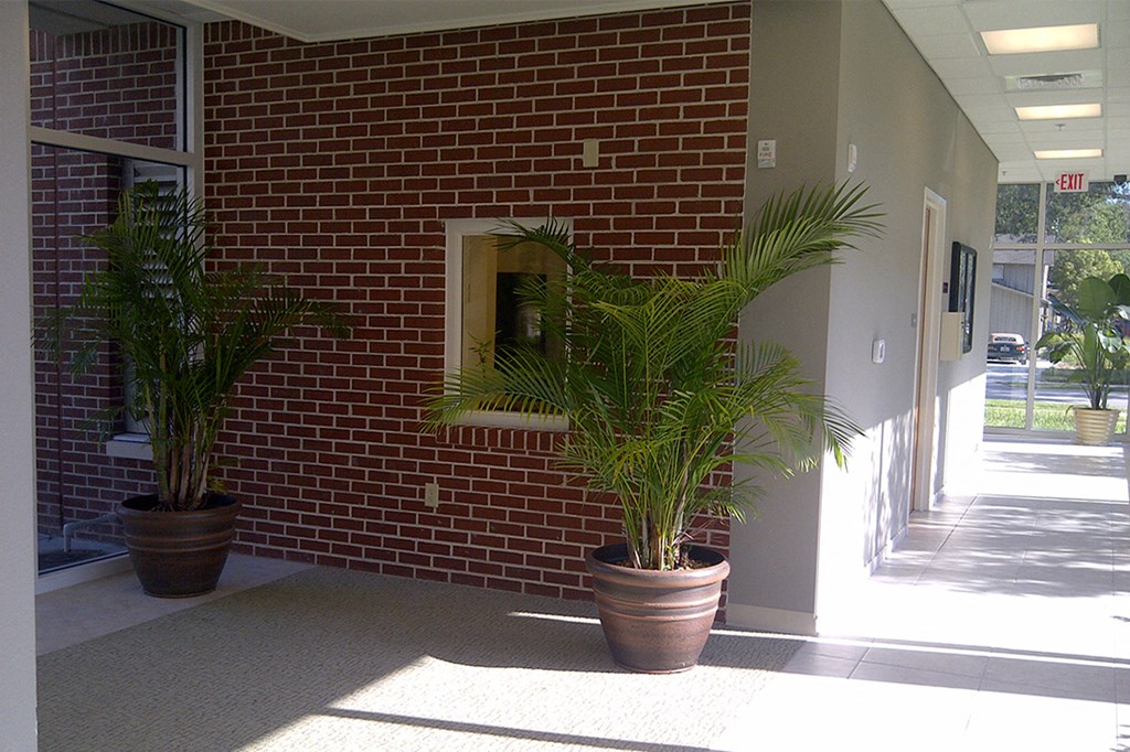 walkway with large windows and potted plants