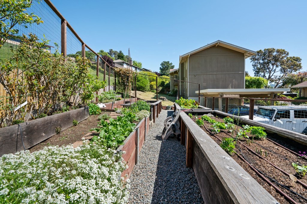 a community garden with a house in the background