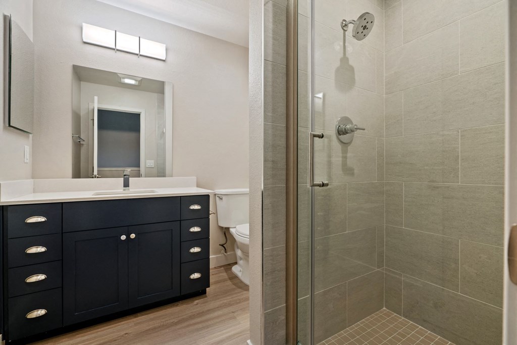 a bathroom with a shower and a sink and a mirror