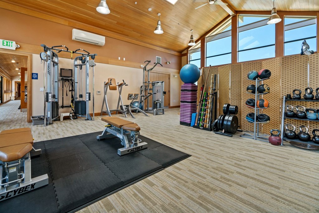 a gym with weights and cardio equipment and a yoga ball