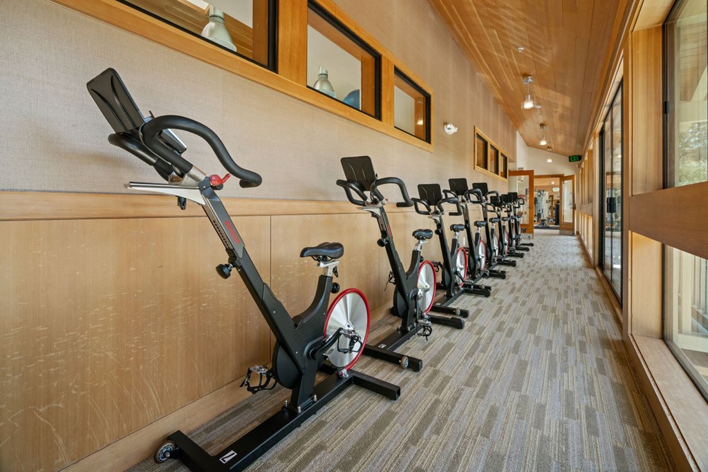 a row of spin bikes in a fitness room
