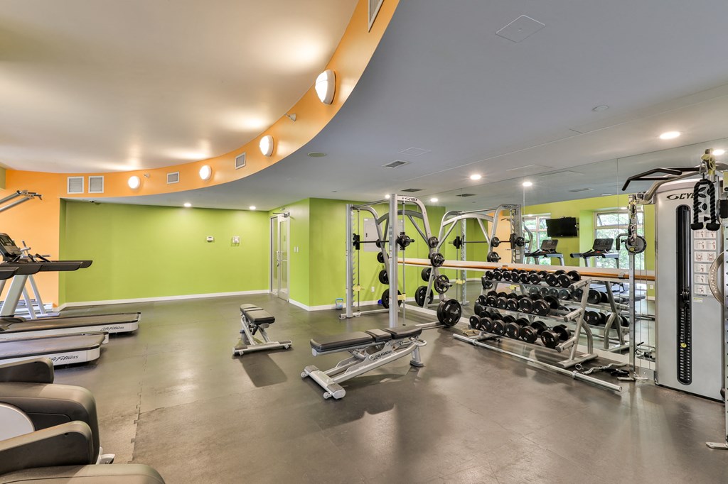 a gym with weights and cardio equipment on the floor and green walls