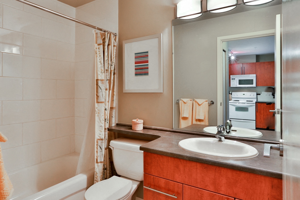a bathroom with a shower toilet and sink and a mirror