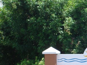 Villas At Lake Smart Apartments 4225 Vista Del Lago Dr Winter