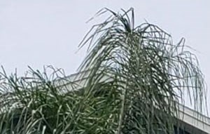 Villas At Lake Smart Apartments Apartments In Winter Haven Fl