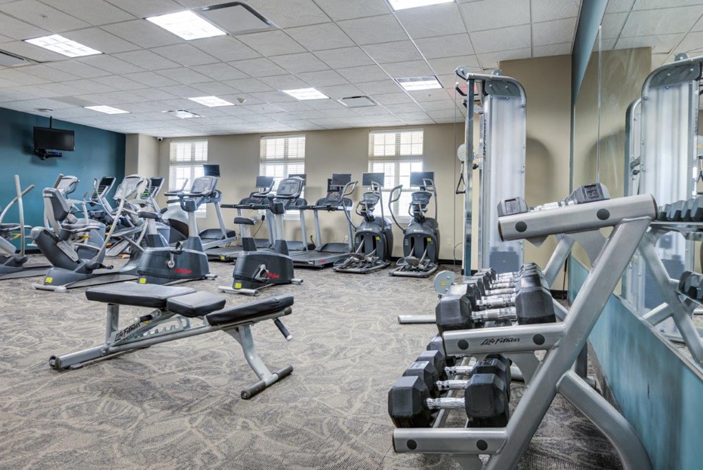 a room filled with cardio equipment and weights in a gym