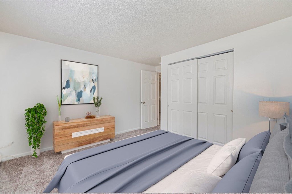 a bedroom with a bed and a closet