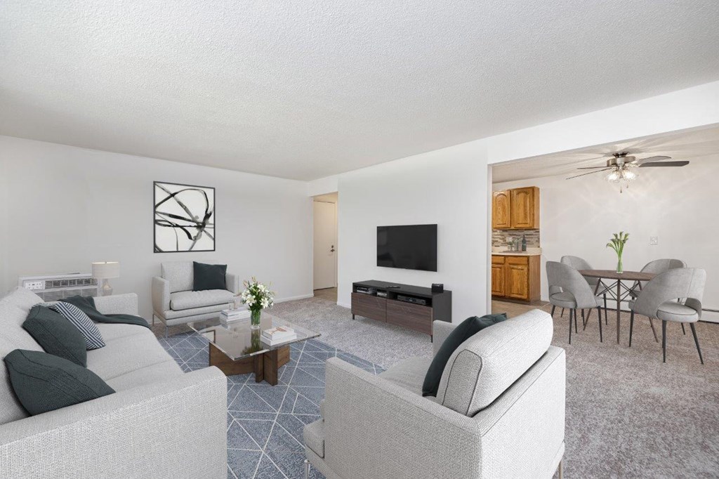 a living room with a couch and a tv