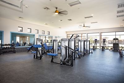 Zinc fitness center and equipment