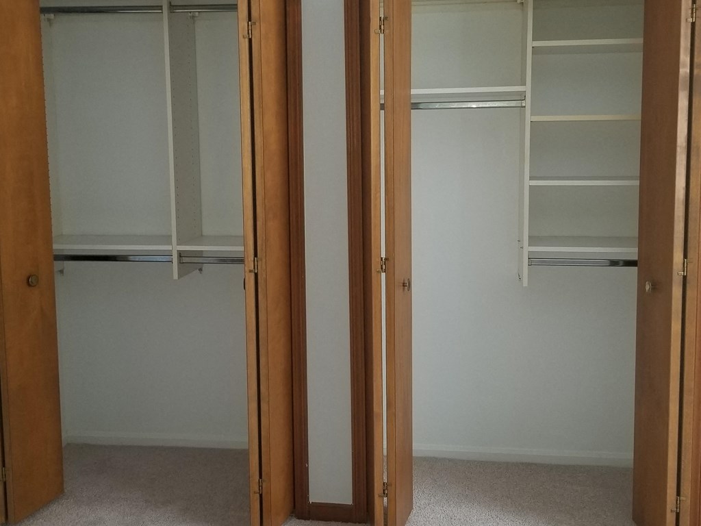 an empty closet with two doors and a carpeted floor
