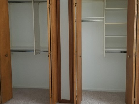 an empty closet with two doors and a carpeted floor