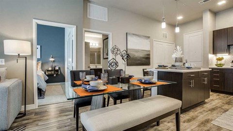Luxury Apartments in Richardson apartments for rent in Richardson, Richardson apartments, Richardson, hard wood floors, high ceilings, natural light, large living room