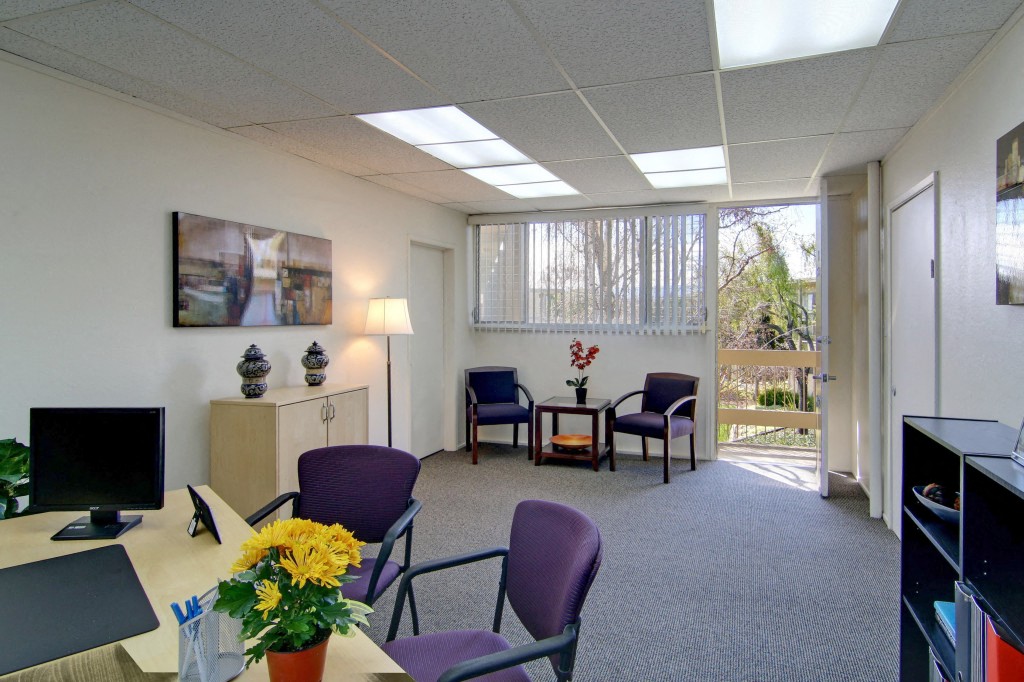 Typical Deluxe Office