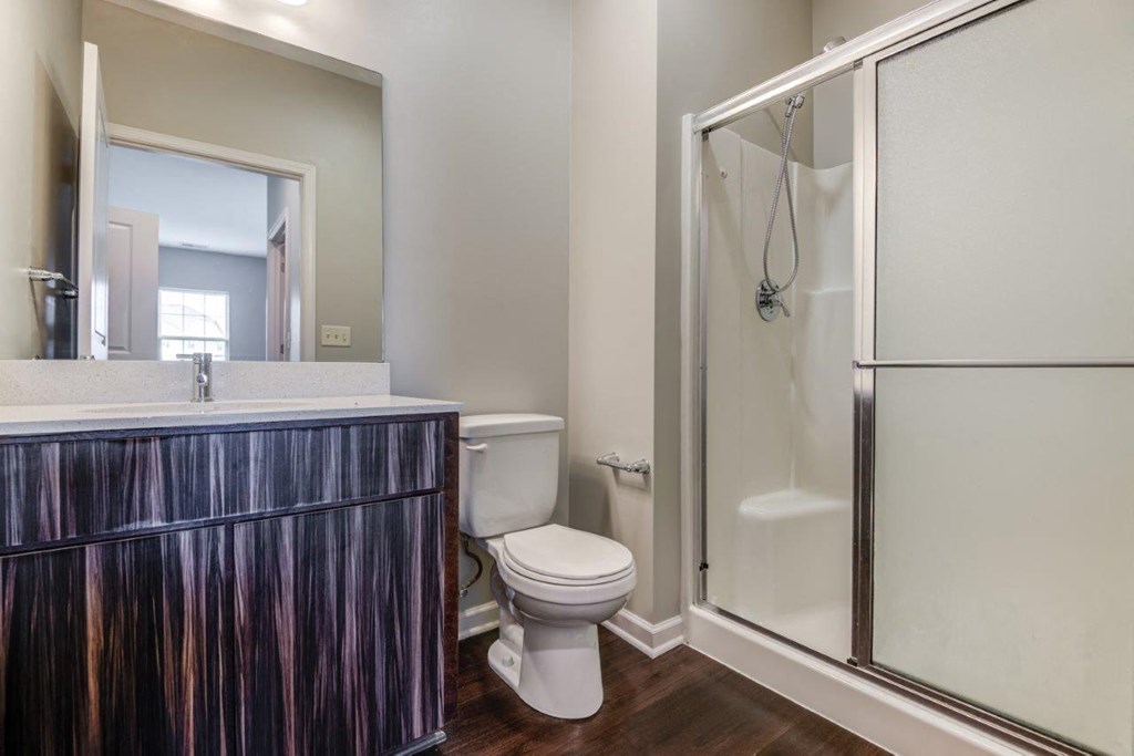 a bathroom with a shower toilet and a sink