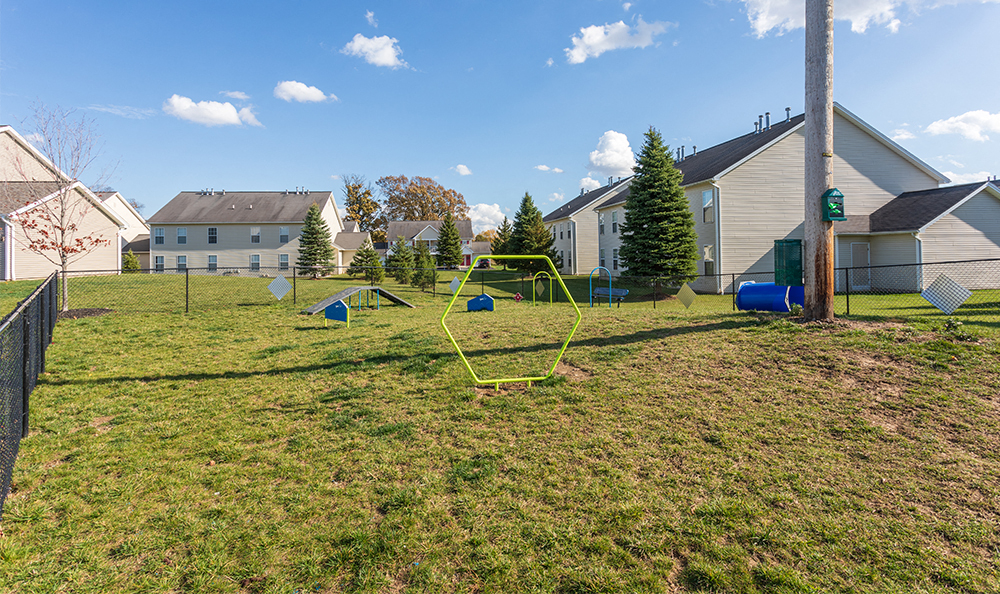 Fenced dog park with agility equipment