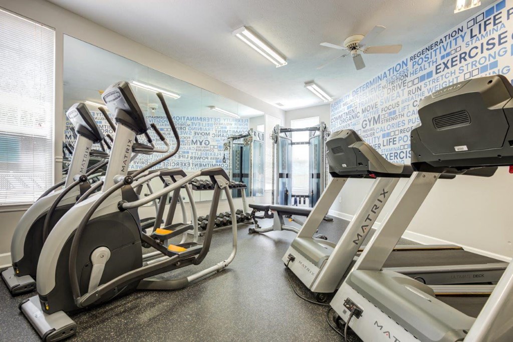 a gym with treadmills and other exercise equipment