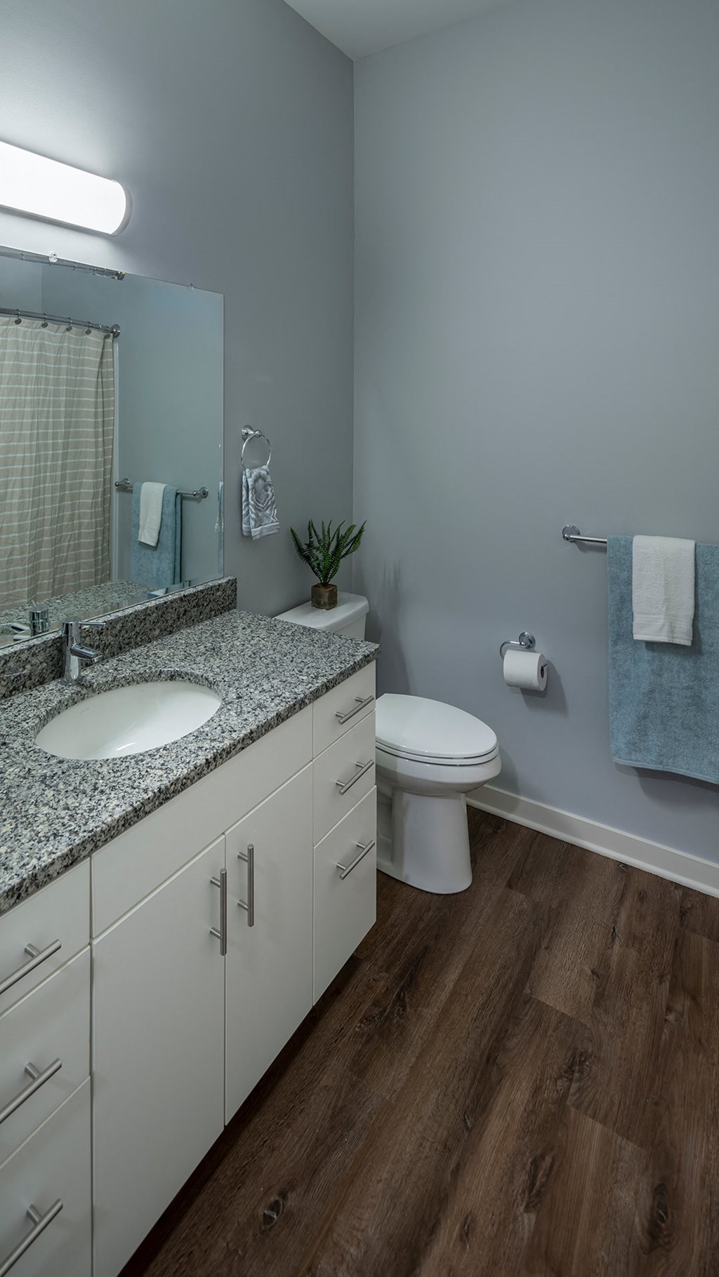 a bathroom with a toilet and a sink and a mirror