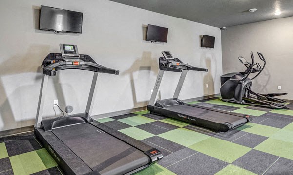the gym is equipped with treadmills and other exercise equipment