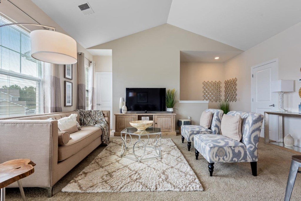 a living room with couches and chairs and a tv