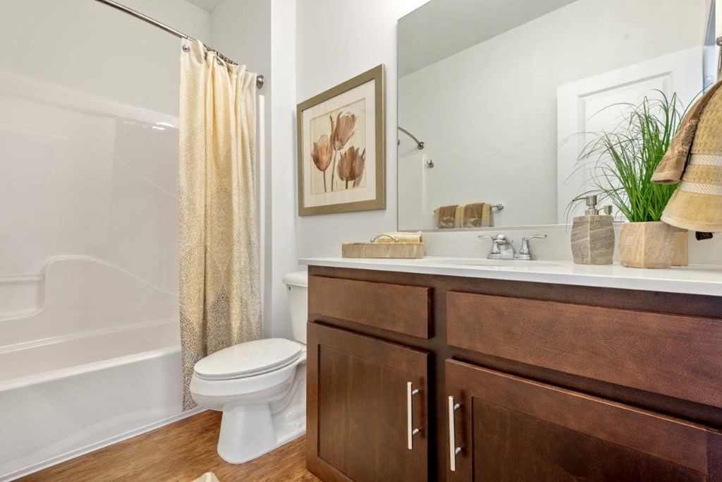 a bathroom with a toilet and a shower and a sink