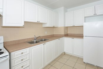 390 Dawes Road 1-3 Beds Apartment for Rent - Photo Gallery 6