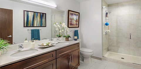 a bathroom with a sink and a toilet and a shower