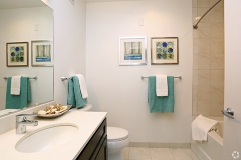 a bathroom with a sink and a mirror and a toilet
