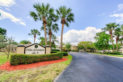 a street with palm trees in front of a subdivision sign