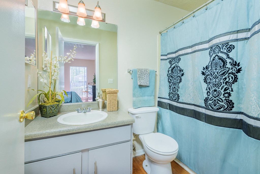 a bathroom with a shower and a toilet and a sink
