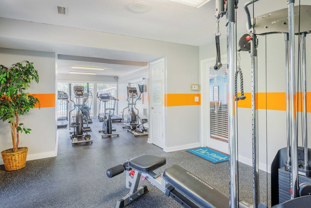 a gym with weights and cardio machines and a plant