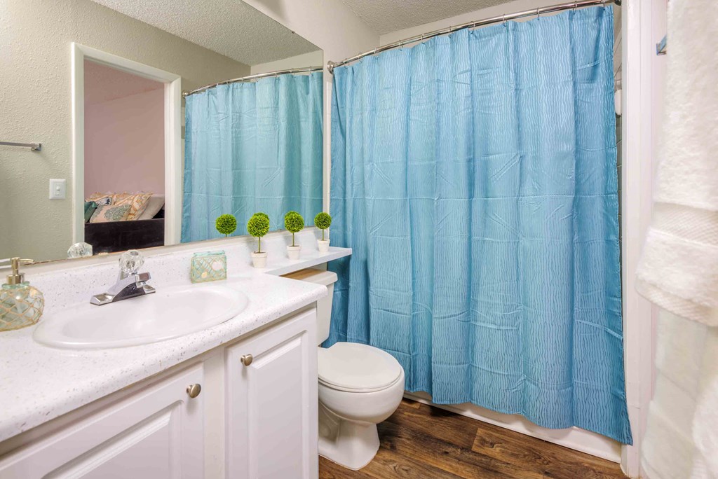 a bathroom with a blue shower curtain and a toilet