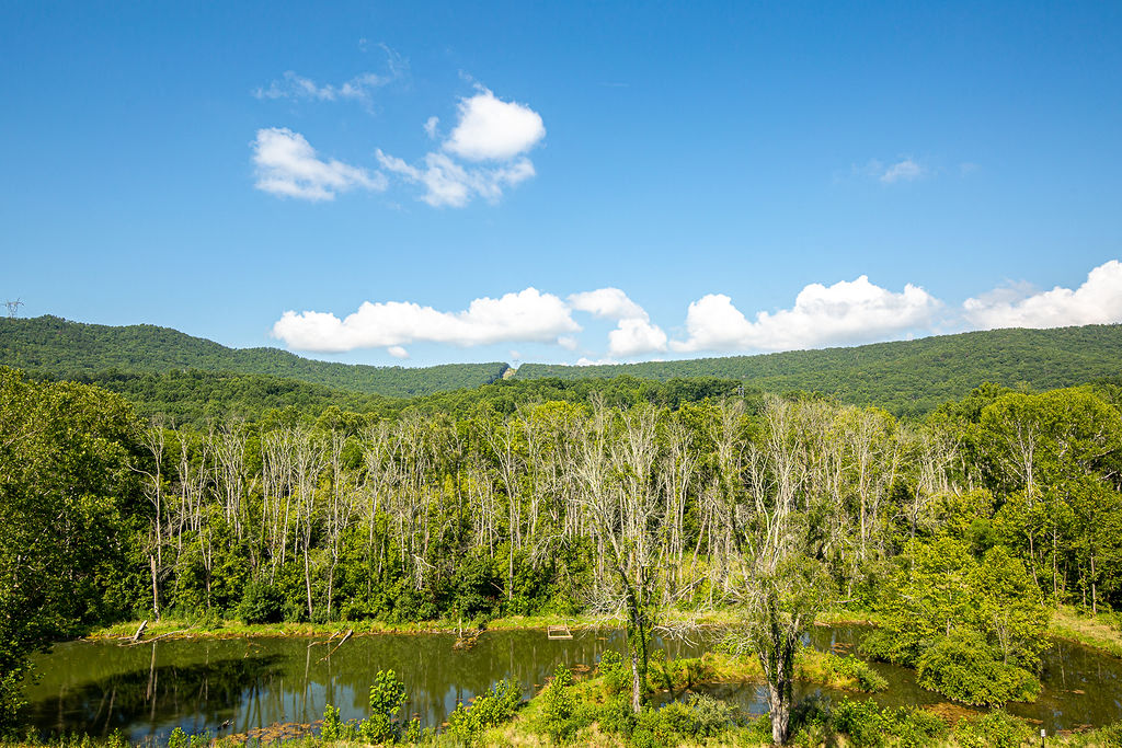a lake in the middle of a forest with mountains in the background