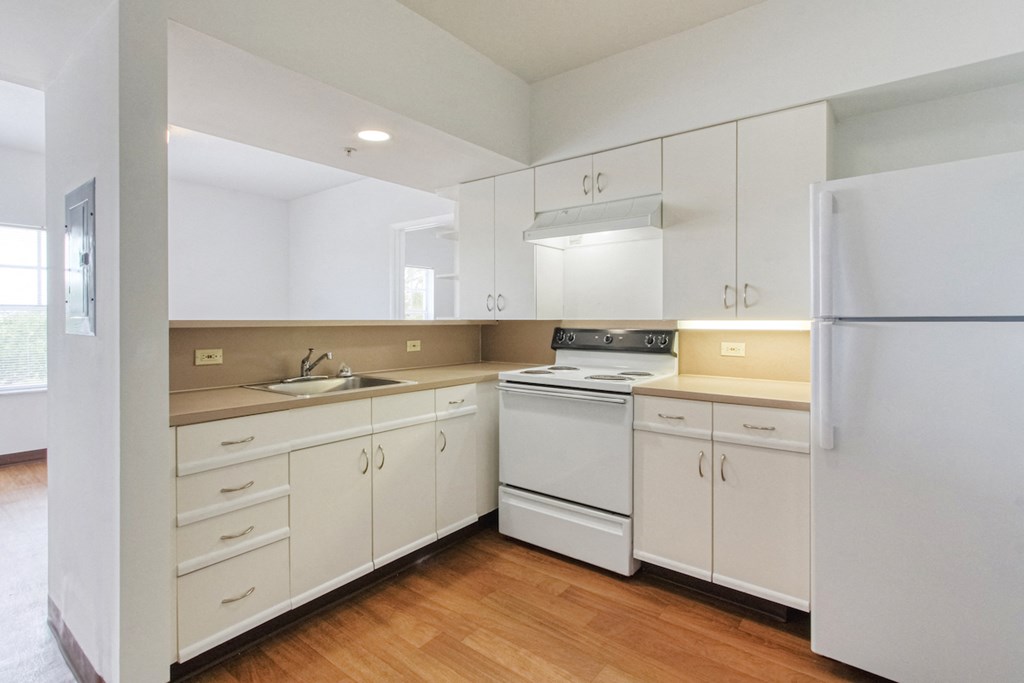 efficient kitchen with ample cabinetry