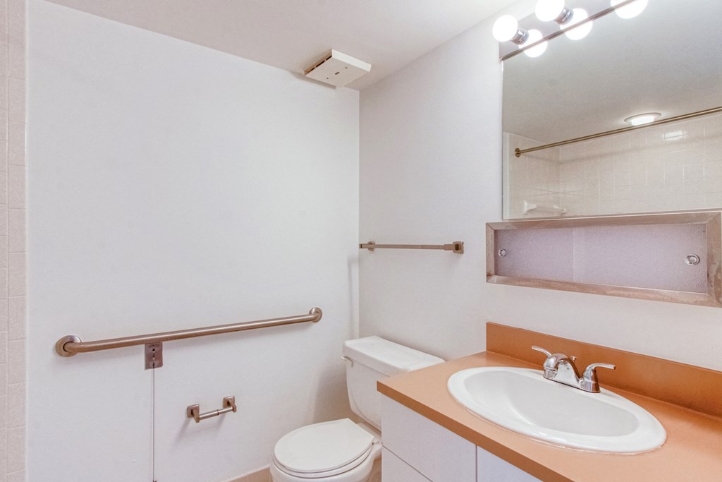 sink and toilet with nearby grab bars