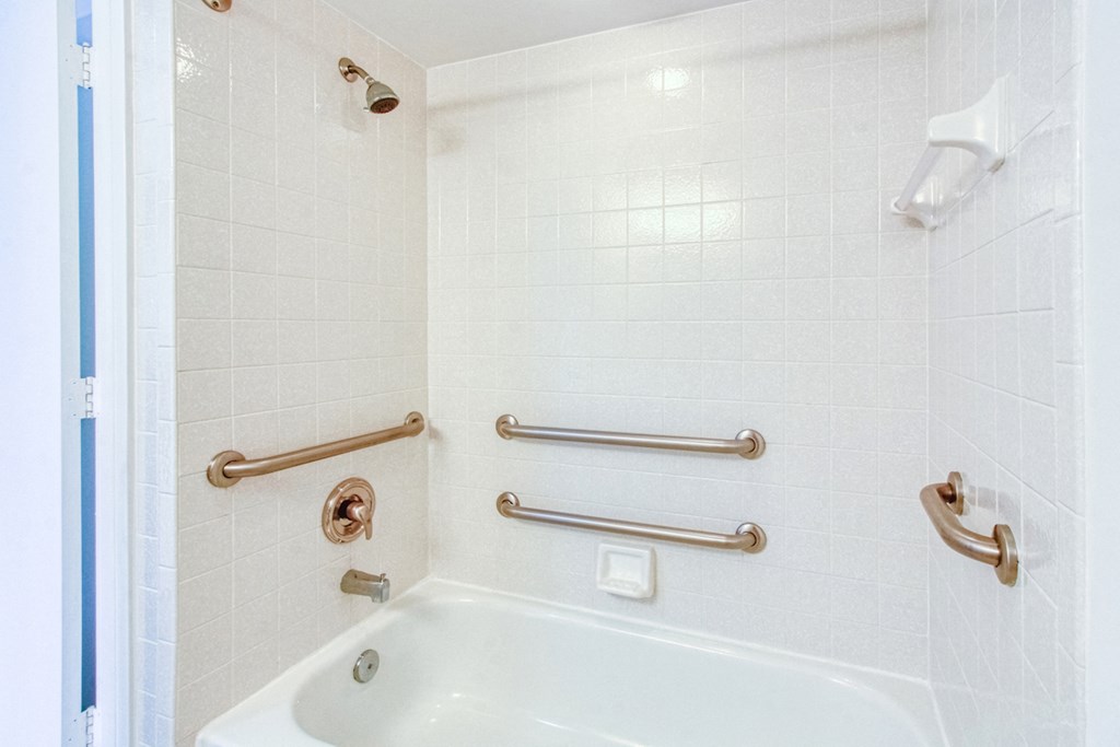 bath and shower with multiple grab bars 