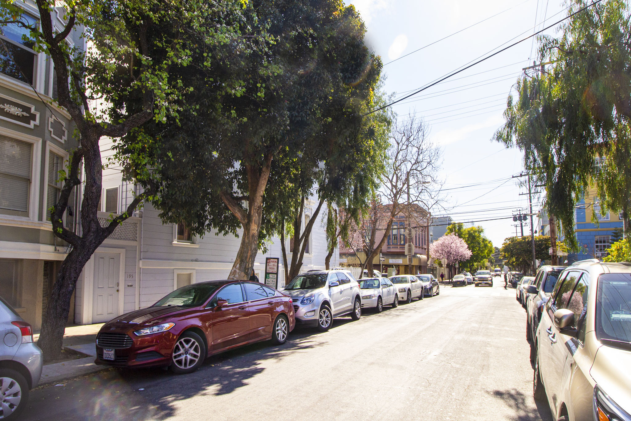 A row of cars parked on a tree-lined street.