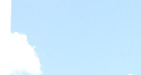 Fort Wayne Apartments For Rent West Wind Apartments