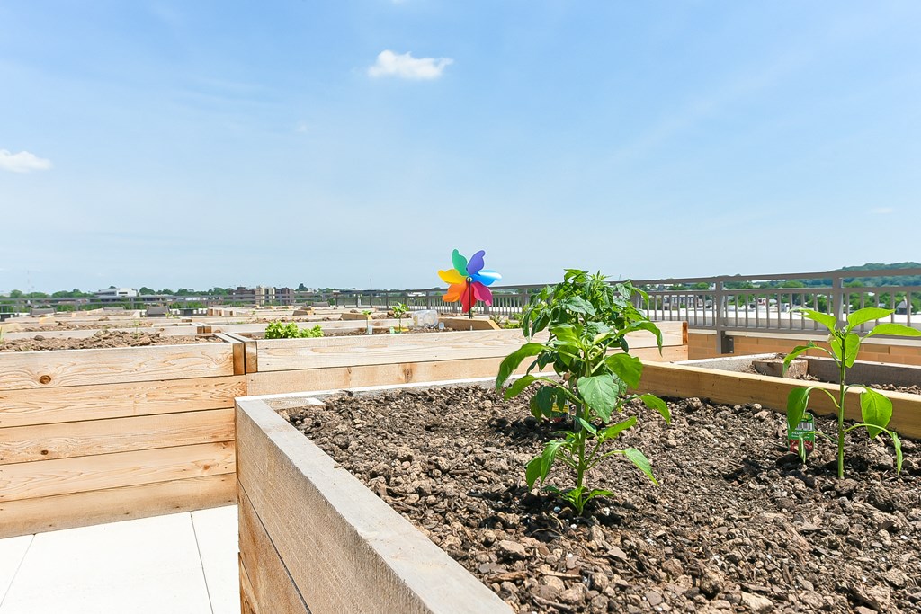 a vegetable garden on the roof of a building with the ocean in the background