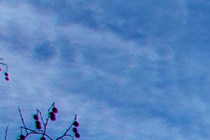 100 Best Apartments In Kirkland Wa With Photos Rentcafe