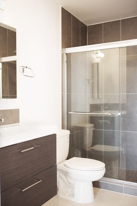 A white toilet sits next to a walk-in shower.