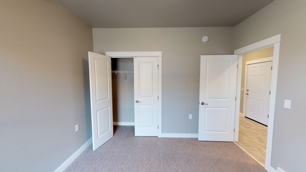 bedroom closet and door