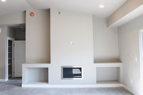 fireplace, mantle, built in shelves